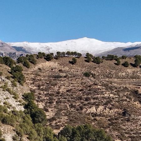 B&B La Granadilla Cónchar Εξωτερικό φωτογραφία