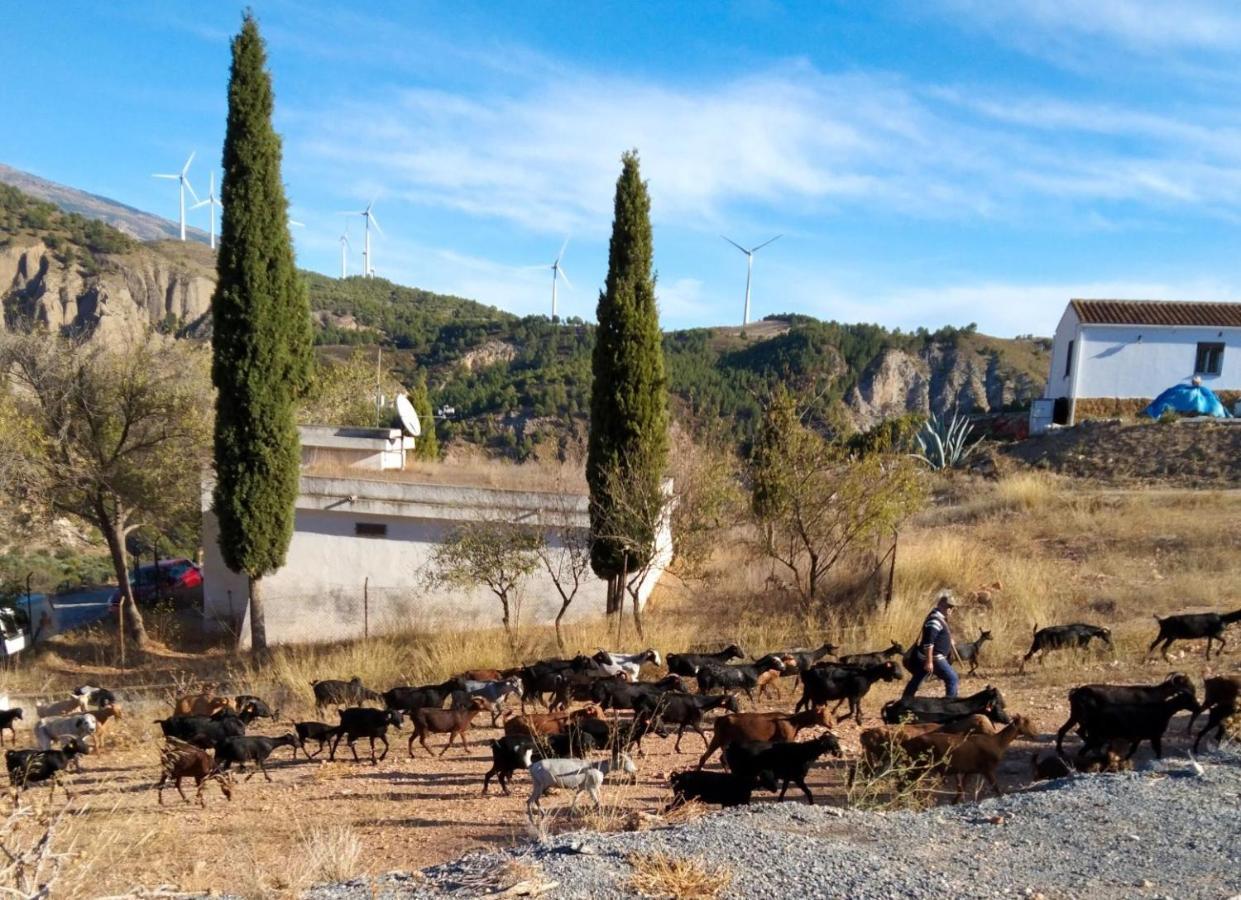 B&B La Granadilla Cónchar Εξωτερικό φωτογραφία