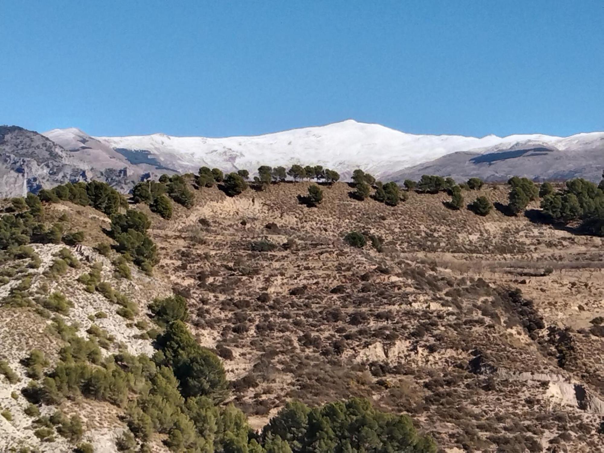 B&B La Granadilla Cónchar Εξωτερικό φωτογραφία